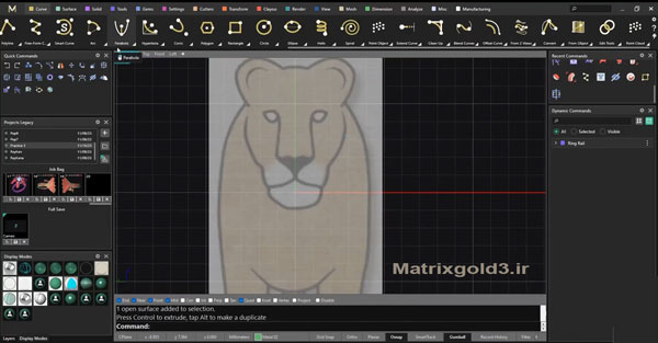 آموزش matrixgold طراحی مدل مجسمه شیر با محیط کلایو 